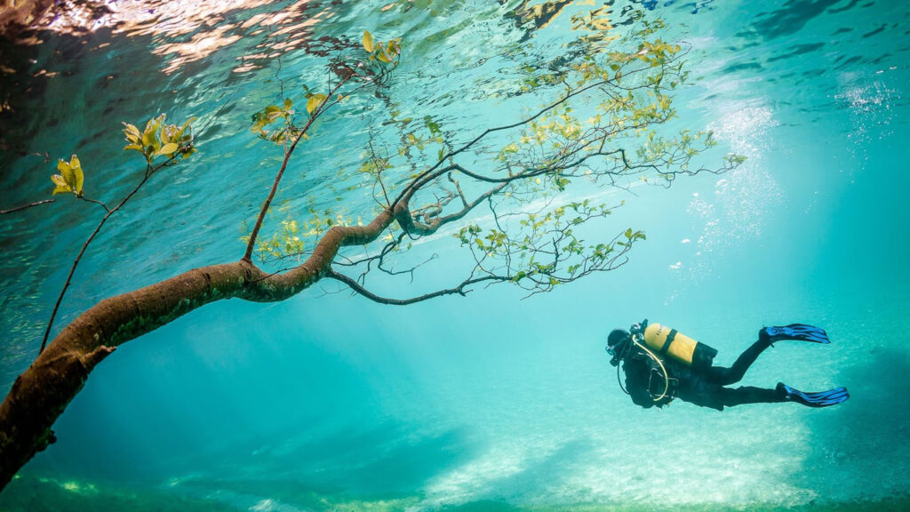 Yvette Heiser Texas - Exploring the Art of Underwater Photography